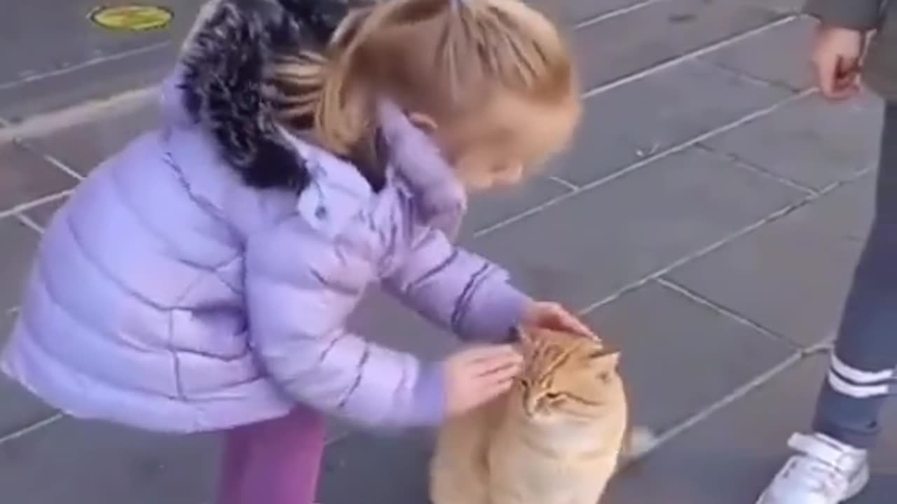 "Purrfect Playtime: Cat and Kids Have a Blast!"