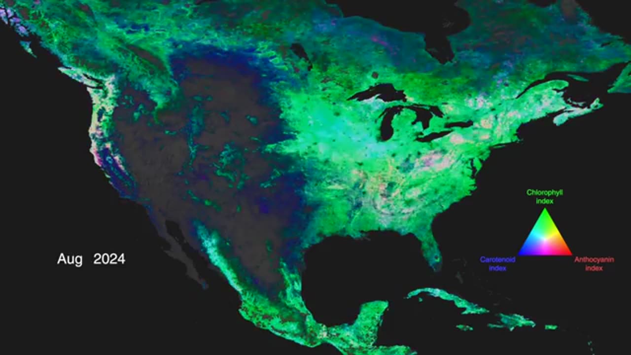 Solar Watch, Solar Economic Disaster Forecast Jun.6.2025 - Space Weather News