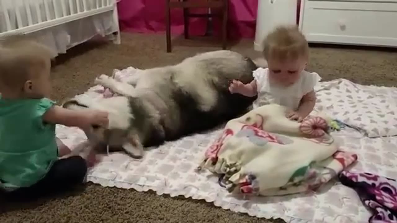 Babies Playing With Dog