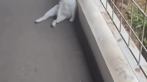 😔🎶 When You Pretend You're in a Sad Music Video... | FunFM