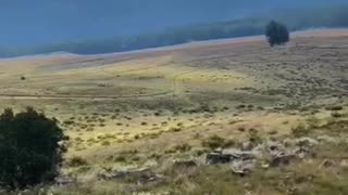 😂🏞️ You Won't Believe How They Saved the Valley! | FunFM