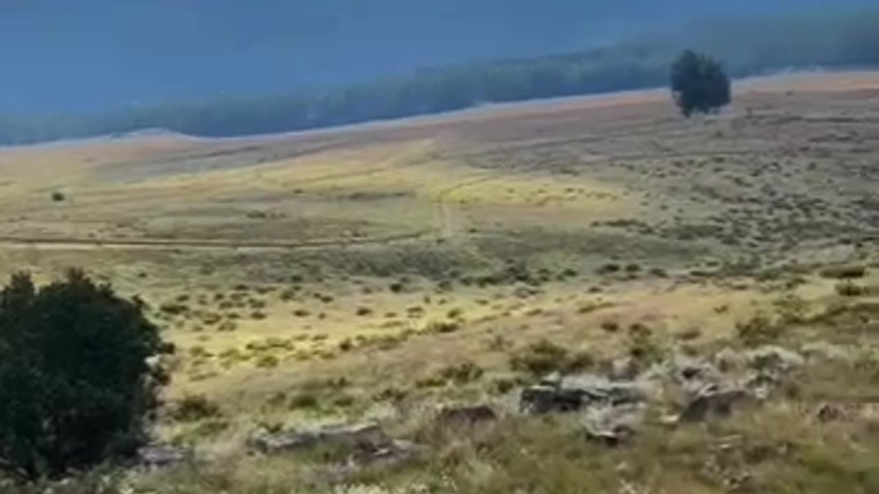 😂🏞️ You Won't Believe How They Saved the Valley! | FunFM