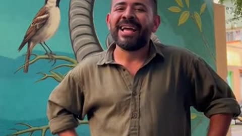 Más vale pájaro en mano...