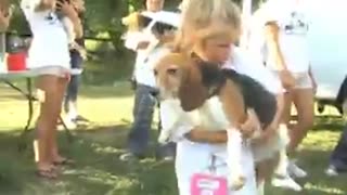 LOOK! Rescued dogs in an abandoned lab owned by Rep. Shri Thanedar