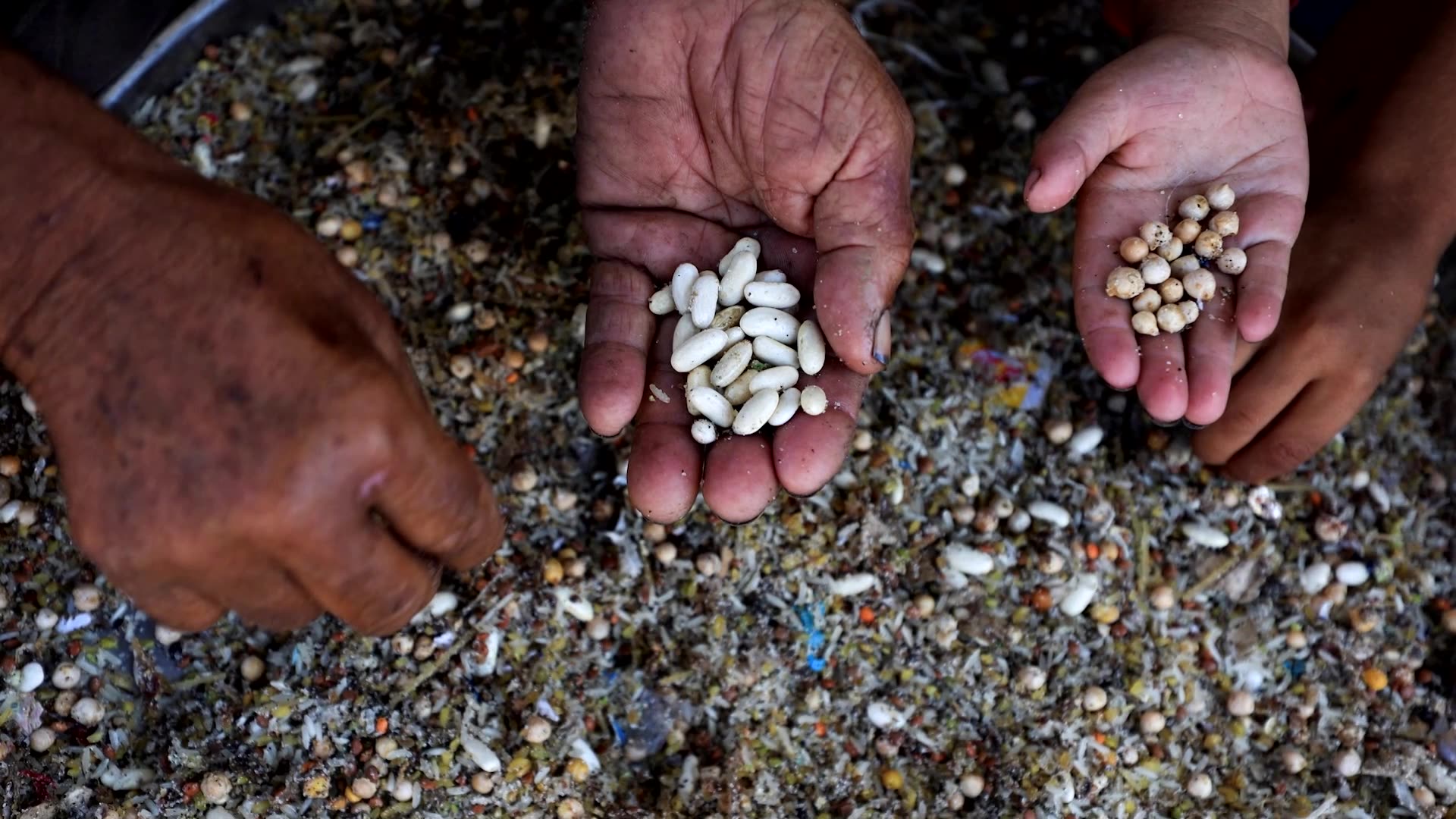 Trump says first priority in Gaza is supplying food