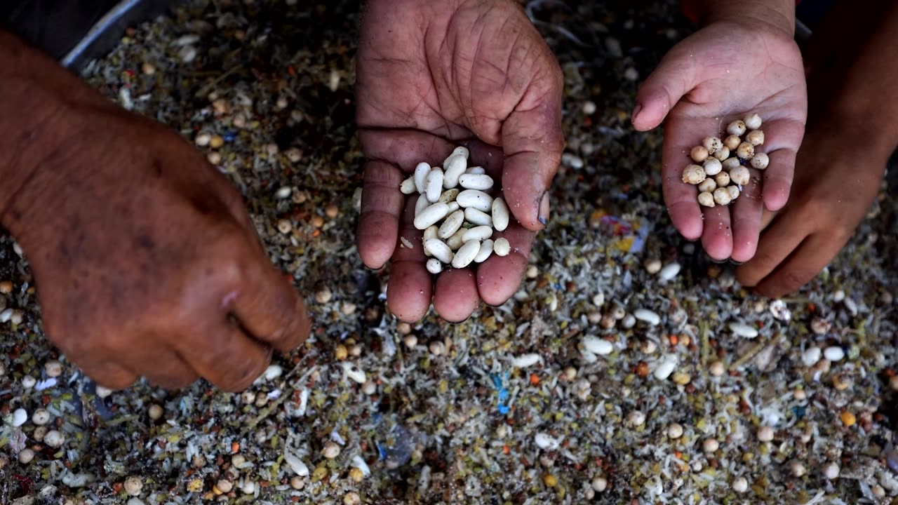 Trump says first priority in Gaza is supplying food