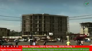 Oduu Ganama ONM-ABO Sadaasa 24-2025 itti dhiyaadhaa!