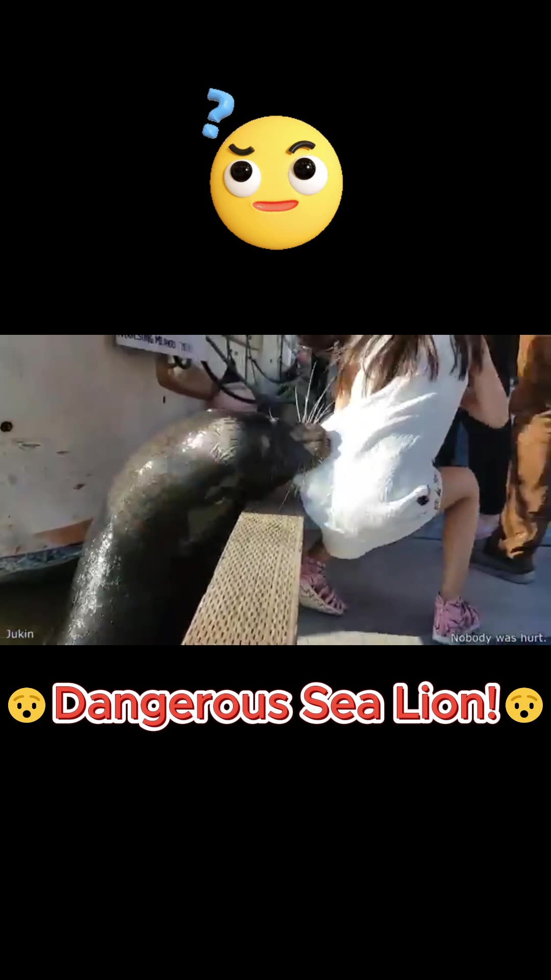 🚨 SEA LION SNATCHES GIRL—UNBELIEVABLE FOOTAGE! 😱🐟🔥