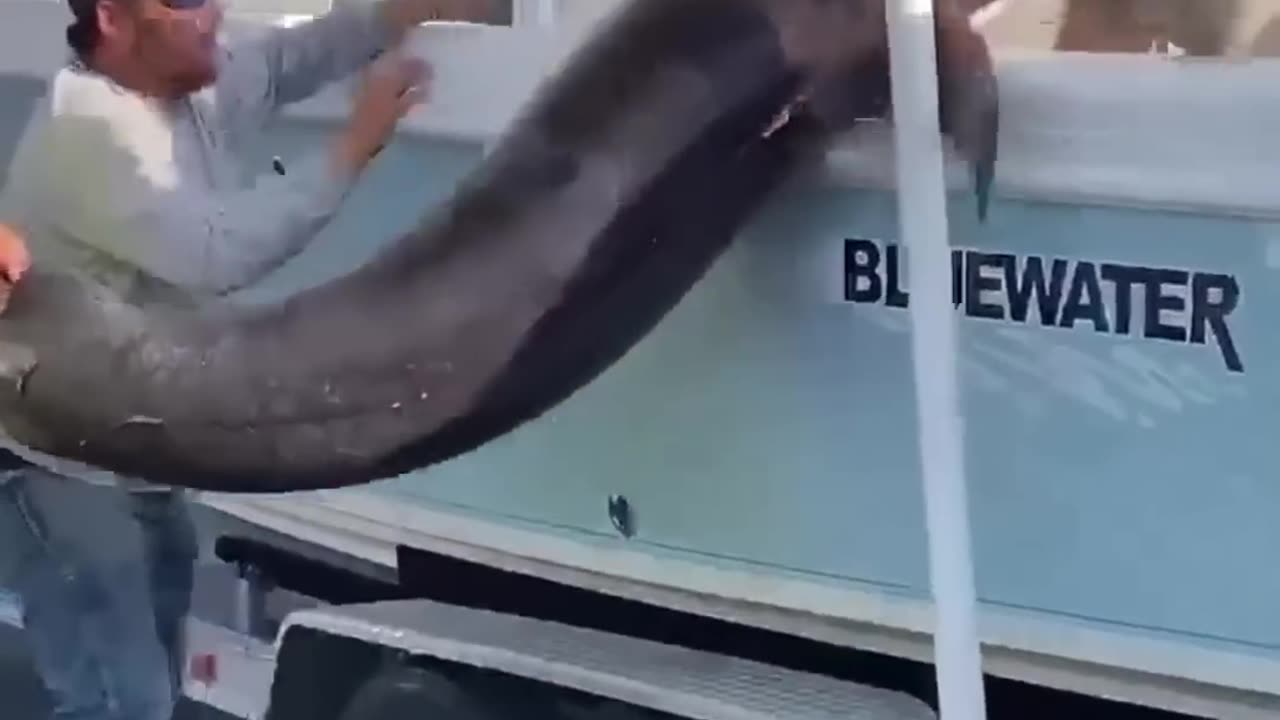 FUNNY_FAILS_-_2025_VIDEO_COMPILATION_#shorts