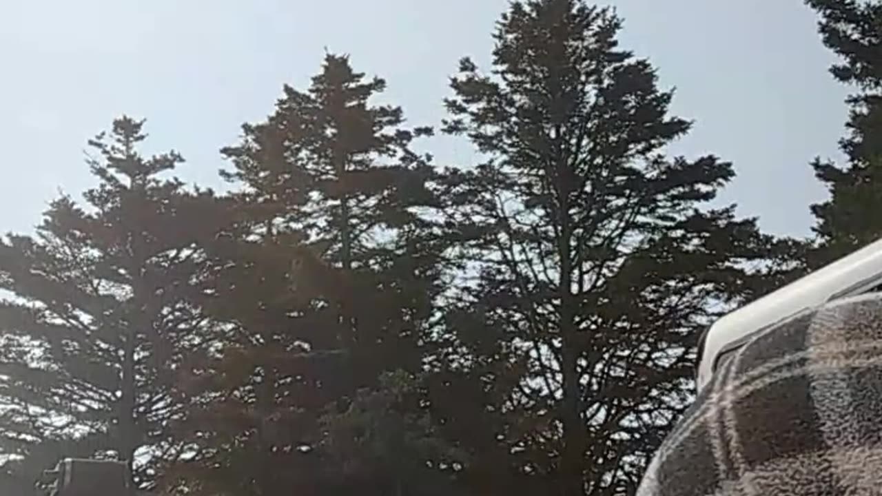 I can't move 😂ðŸ˜