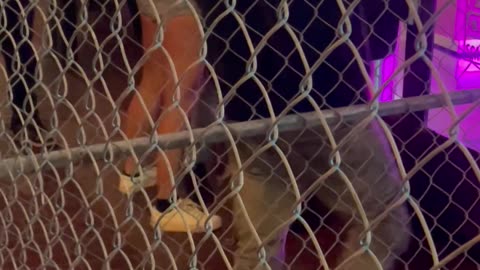 San Diego Gaslamp District Street Fight Topples Strangers