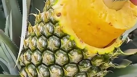 enjoy tasty fruits and beautiful nature 😋🍎🍒🍓🥝#shorts #nature #fruit