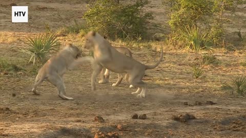 Aerial Stories From Around the Globe