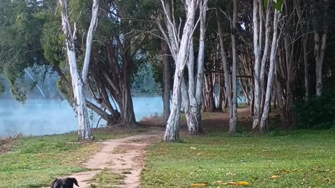 3.7.2025 The Barron River, Kuranda