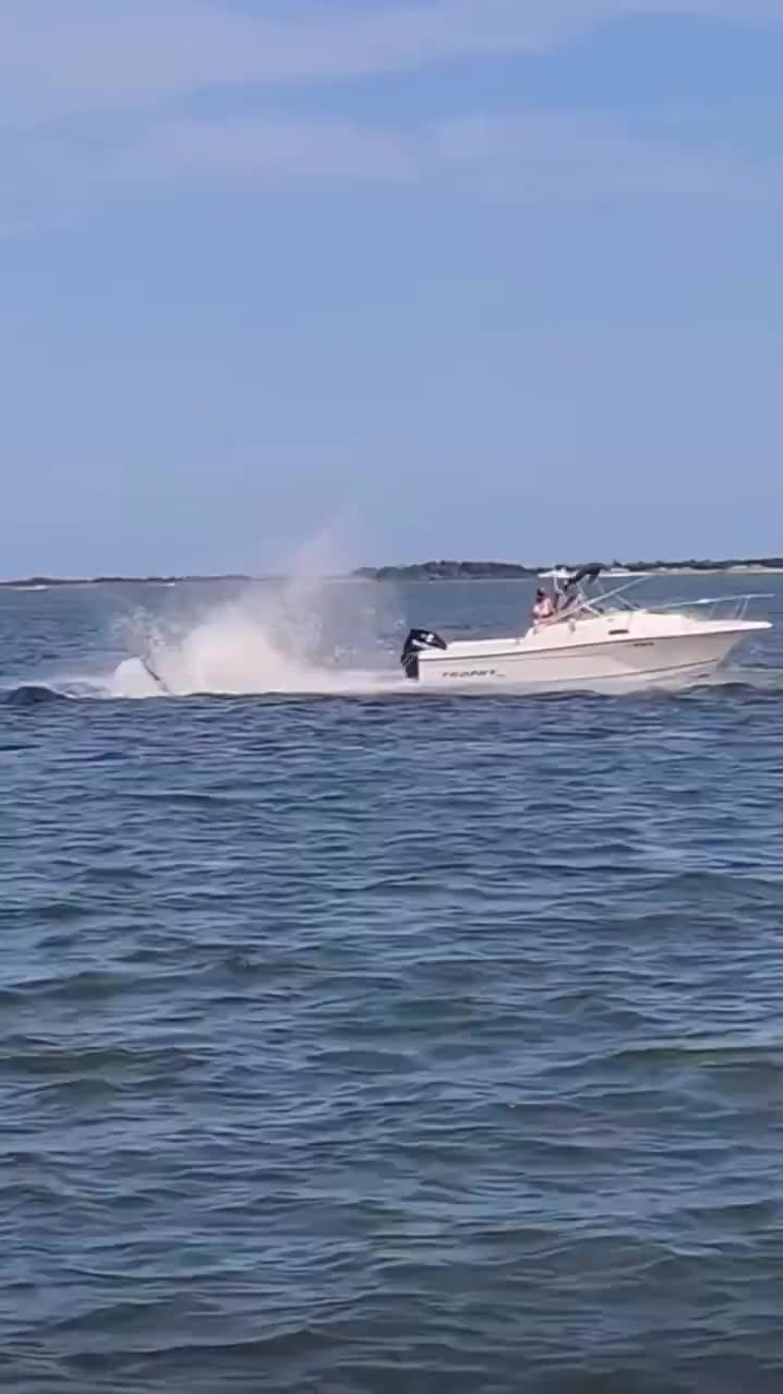 Insane Footage Shows a Whale Nearly Capsizing a Boat in New Jersey