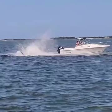 Insane Footage Shows a Whale Nearly Capsizing a Boat in New Jersey