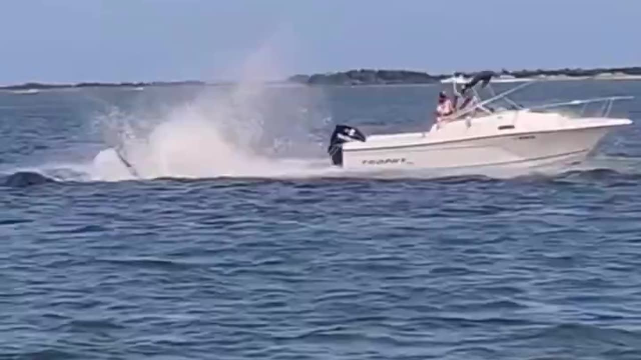 Insane Footage Shows a Whale Nearly Capsizing a Boat in New Jersey