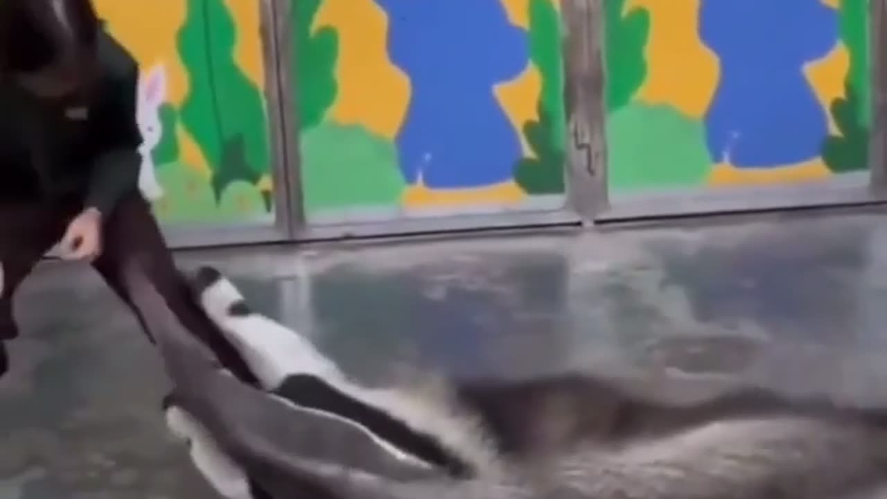 😂🐜 Anteater's Unexpected Playtime! | FunFM