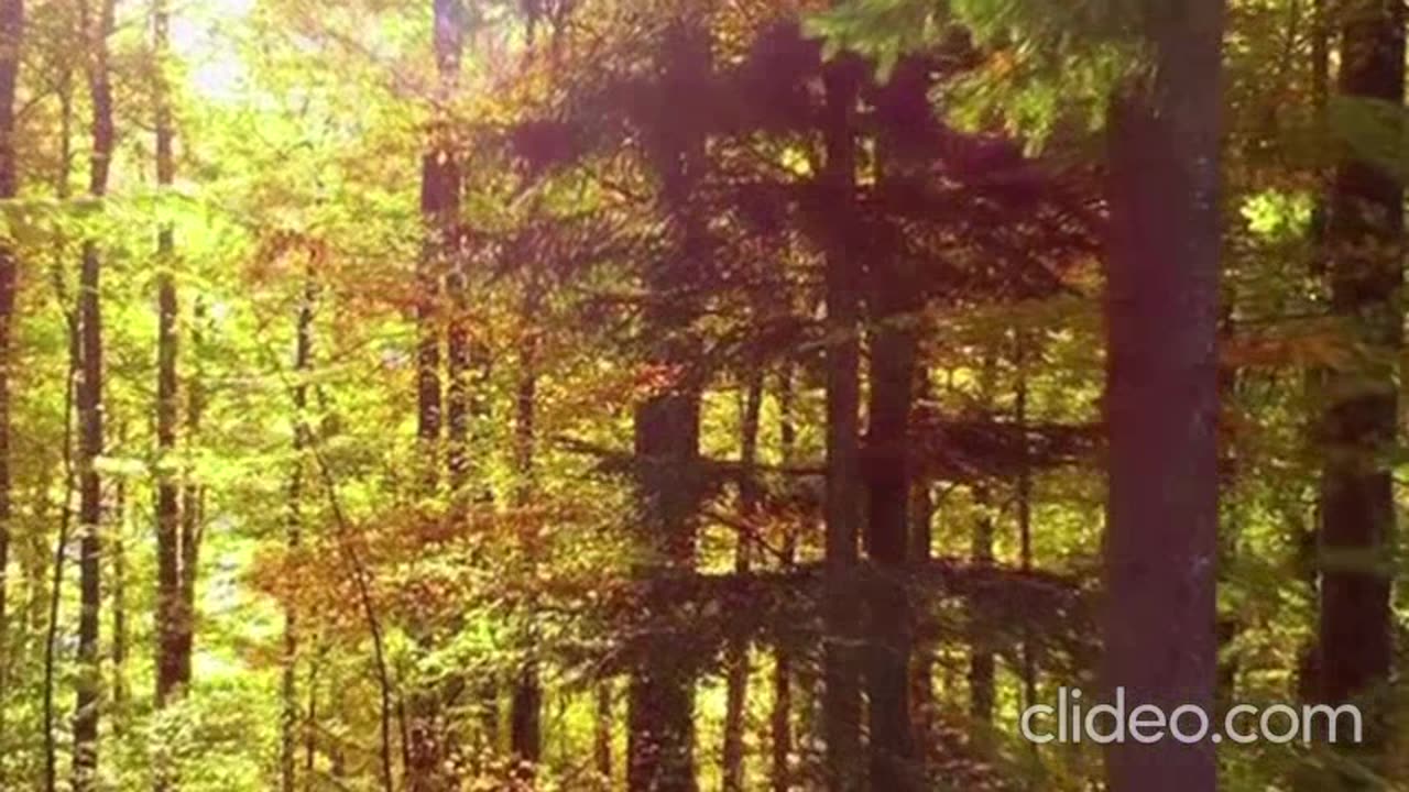 o naufragio do titanic completao