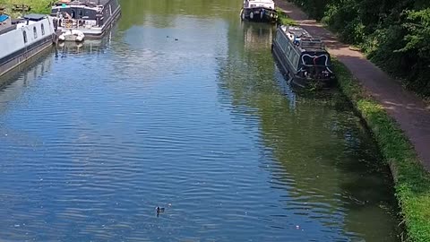 Seriously thinking of travelling to Venice (Italy), by hiring one of these! Read all about it.
