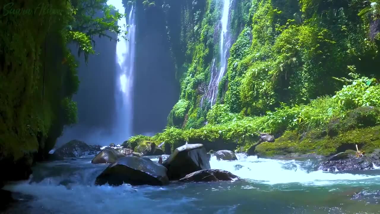 Waterfall & Nature Sounds Relaxation – A Treat for Your Eyes and Mind Easing Financial Worries
