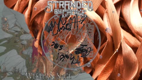 Stranded By Choice - Western Sage - Full CD