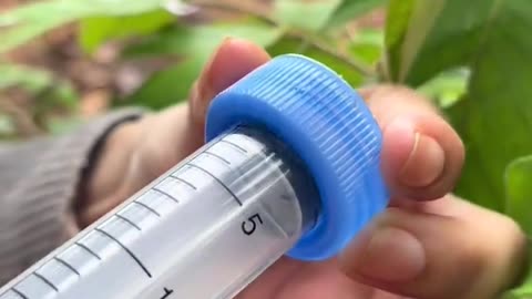 Survival skills: SMART idea and USEFUL save Water & Soaps #camping #bushcraft #outdoors #survival
