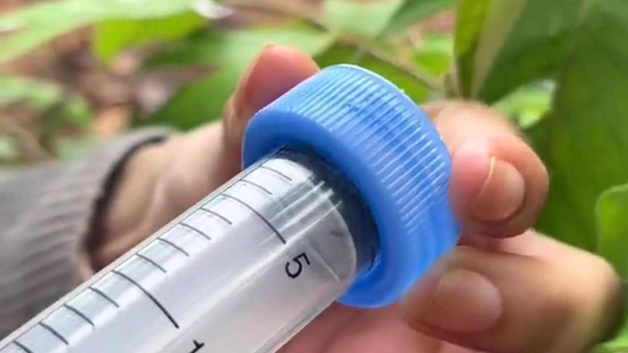 Survival skills: SMART idea and USEFUL save Water & Soaps #camping #bushcraft #outdoors #survival