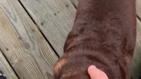My Poor Baby