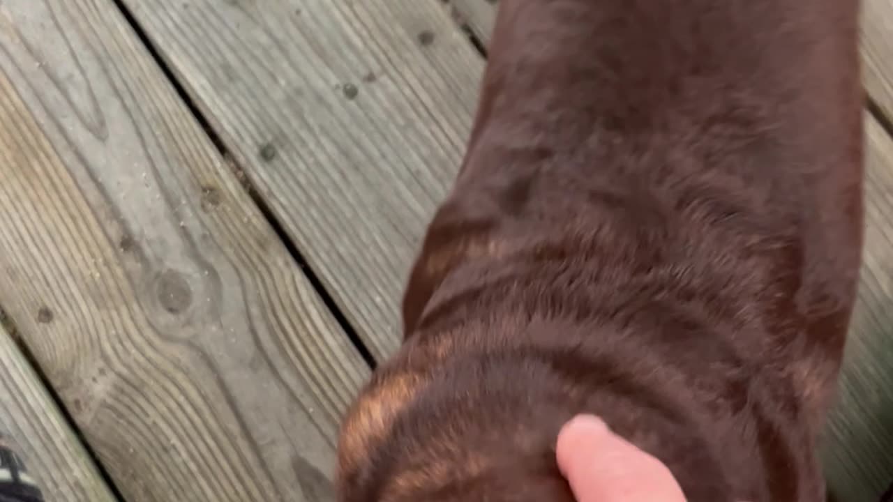 My Poor Baby
