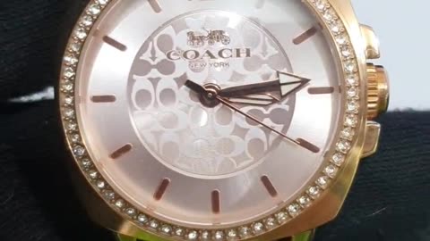 Coach Women’s Watch 14503981