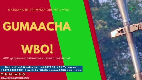 Gabaasa Gumaacha ONM-ABO Onkoloolessa 19-2025 itti dhiyaadhaa!