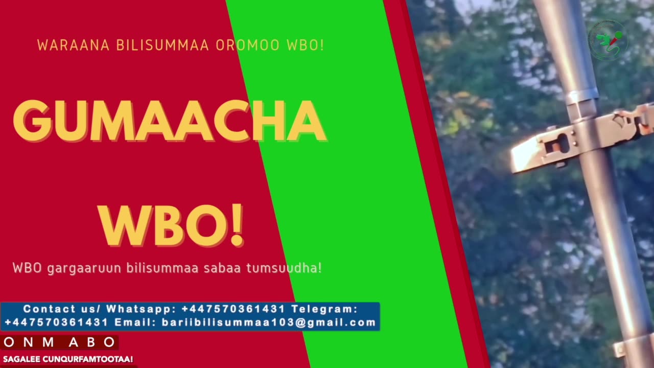 Gabaasa Gumaacha ONM-ABO Onkoloolessa 19-2025 itti dhiyaadhaa!