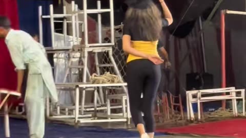 New Circus performance video 2025