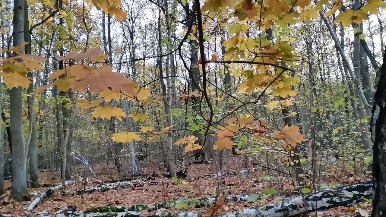 kiedy się na tym przyłapię ...