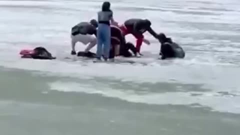Immigrants Swarm Lake Louise. Fall Through Thin Ice.