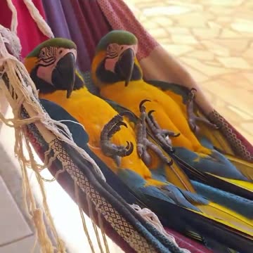 Living the best life.. 😊