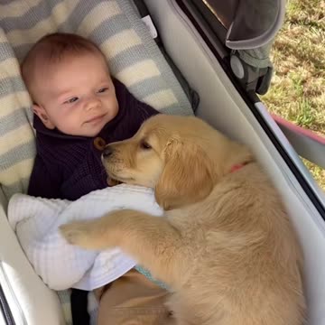 WOW.DOG.BABY.VANY.HAPPY