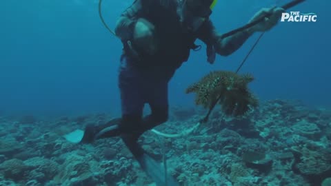 Gold Beneath the Waves: Can the Cook Islands Cash In? | The Pacific | ABC News