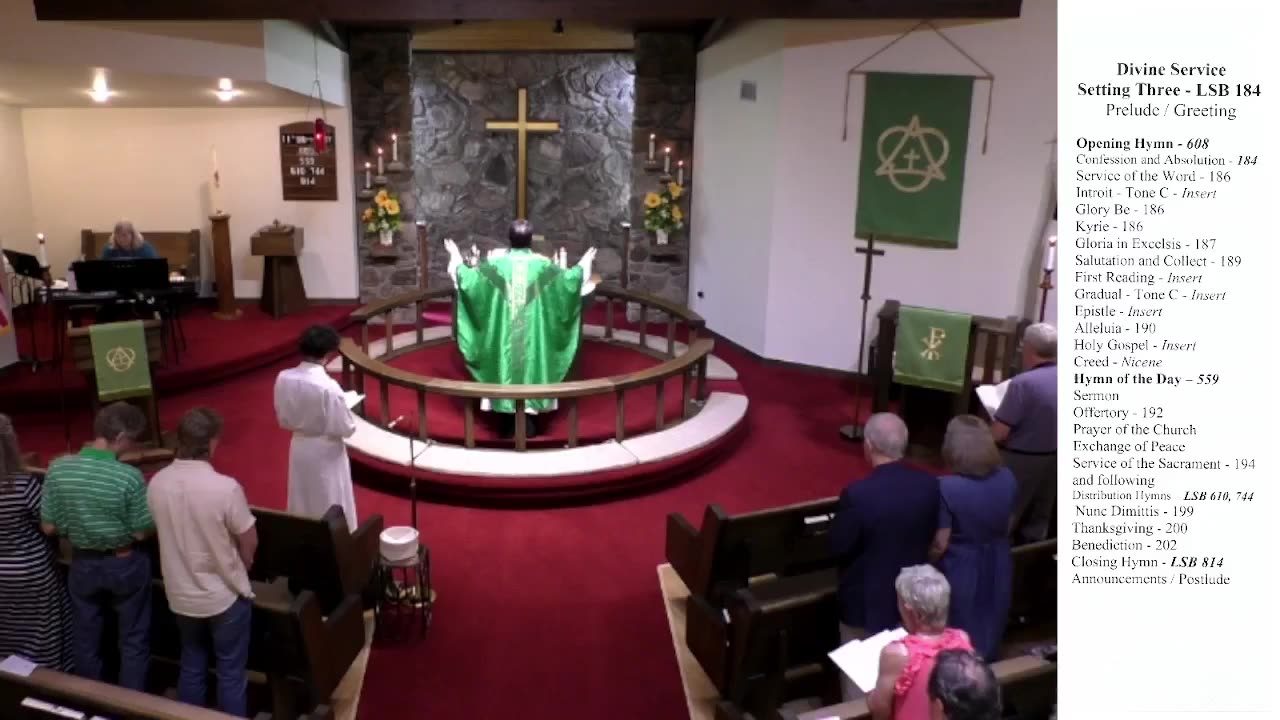 Eleventh Sunday after Trinity - August 16, 2026