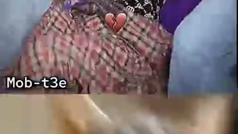 Shocking: birthday surprise ❌ surprise birthday ✔️ #cat #memes #dance #trending