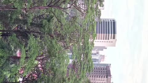 Magic Dekho-39-Standing On Eagle-Batucaves-Tiktok