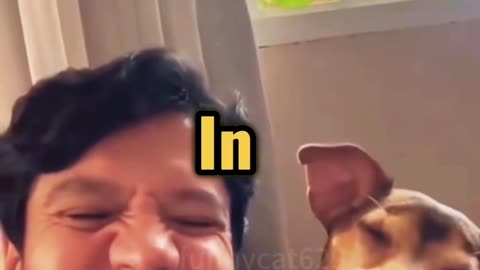 Why dogs look like their owner? 😭