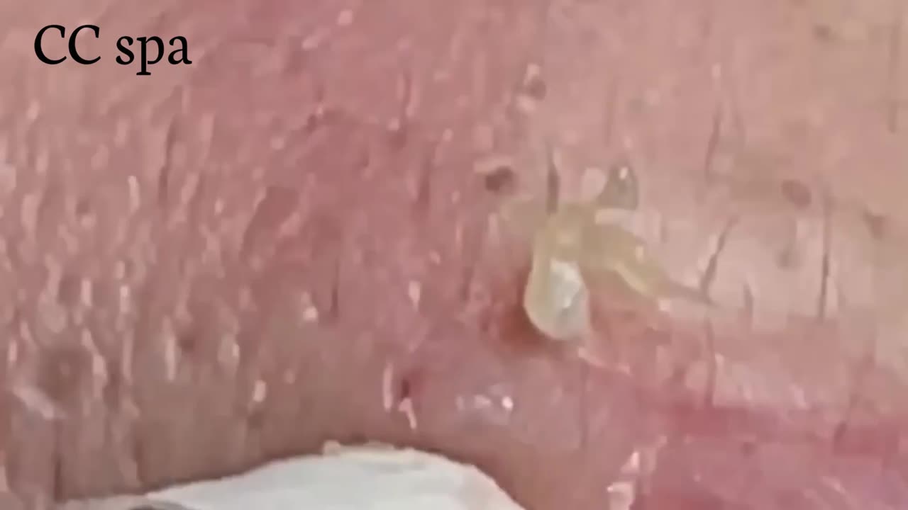 تلميع وتنظيف الجلد الطبيعي المدور 9999