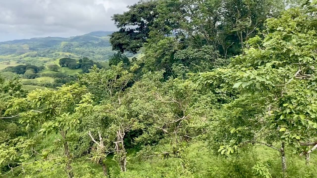 5 Hectares Farmland for sale