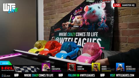 WTF LIVE RACING