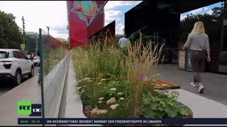 RT DE LIVE-TV
