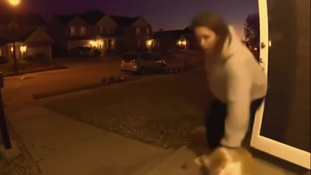 Кот с дробовиком!))