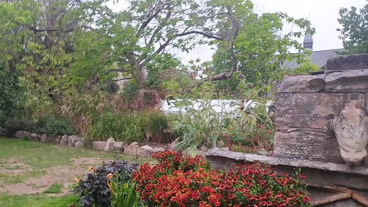 Xiaomi 13 Pro - AUG25 reel RAW UNCUT