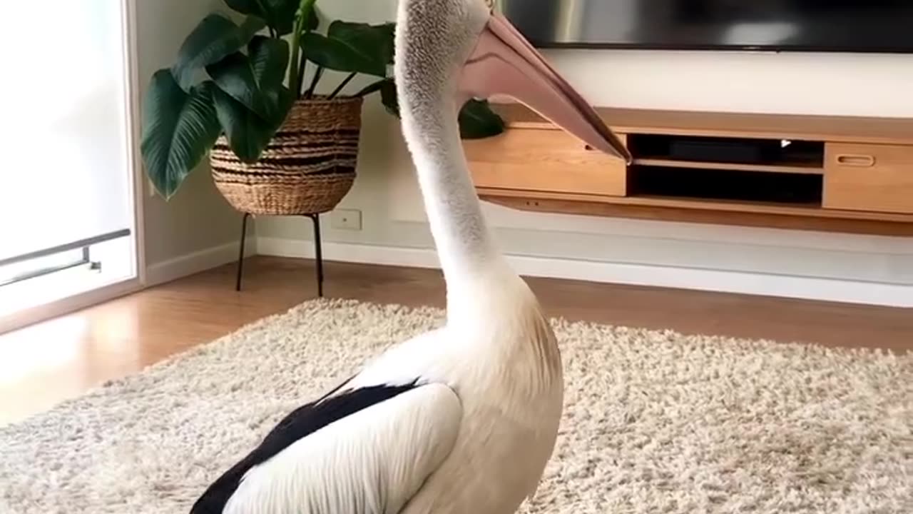 Never fall asleep with the door open